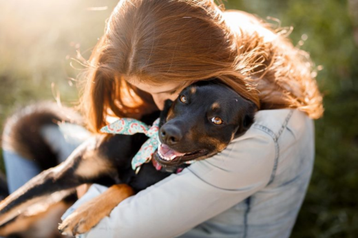 The Unbreakable Bond: Why Pets Make Our Lives Better