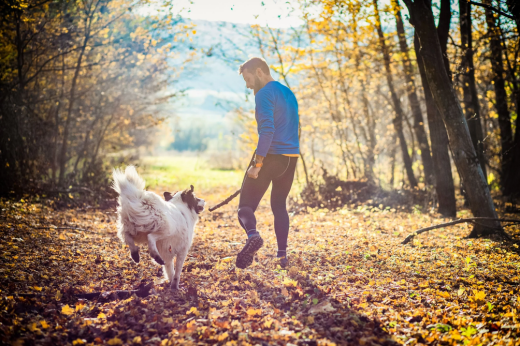 Celebrate Responsible Dog Ownership Month: A Guide to Being the Best Pet Parent