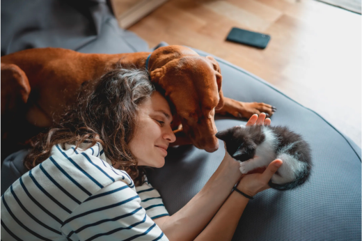 Finding the Perfect Pet Companion: Matching Your Lifestyle with the Right Animal