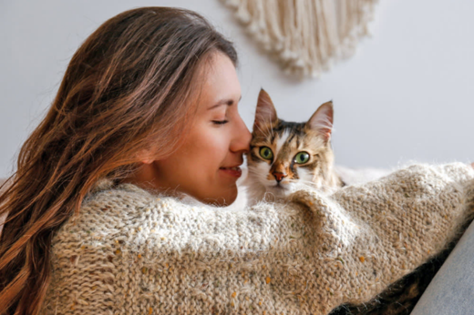 National Adopt a Cat Month: Your Guide to Welcoming a Feline Friend Home