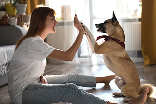 Responsible Dog Ownership Month: How to Be the Best Pet Parent Every Day