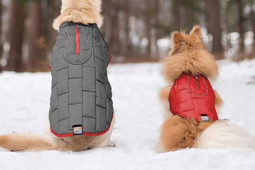 The Essential Guide: Keeping Pets Warm and Safe During Winter