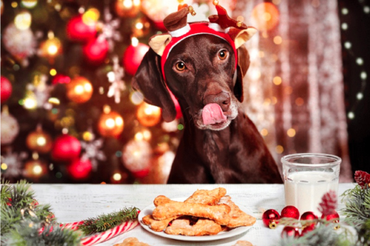 Keeping Your Pets Safe: Christmas Foods They Can and Cannot Eat