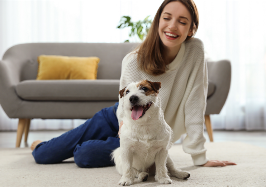Bringing a new dog home: Tips for first-time dog owners