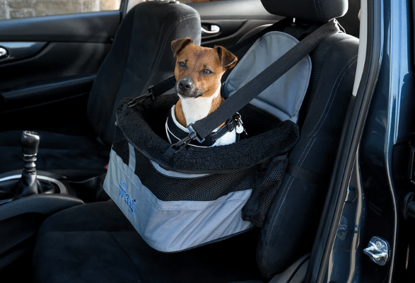The Direct4Pet Brand Guide to Henry Wag