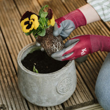 Load image into Gallery viewer, Kent &amp; Stowe All Round Triple Pack Gloves Plum
