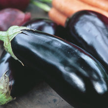 Load image into Gallery viewer, Aubergine Moneymaker F1
