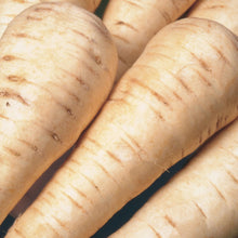 Load image into Gallery viewer, Unwins Root Harvest Seed Bundle
