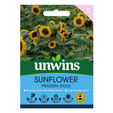 Load image into Gallery viewer, Sunflower Pradera Gold
