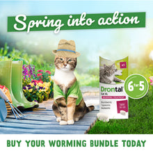 Load image into Gallery viewer, Drontal Wormer Tablets, Convenient for Large Cats (Over 4kg) 6 Tablets
