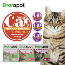 Load image into Gallery viewer, Dronspot Spot On Wormer for Large Cats (5 to 8kg) 6 Pipettes
