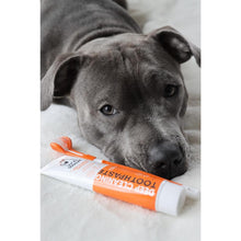 Load image into Gallery viewer, Our Dogs Life Deep Cleaning Toothpaste - Peppermint &amp; Aloe Vera

