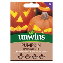 Load image into Gallery viewer, Pumpkin Halloween F1
