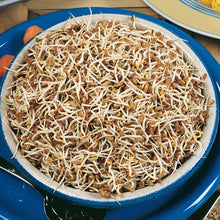Load image into Gallery viewer, Sprouting Seeds Fenugreek
