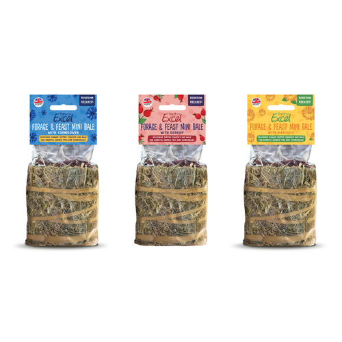 Burgess Excel Forage & Feast Mini Hay Bale