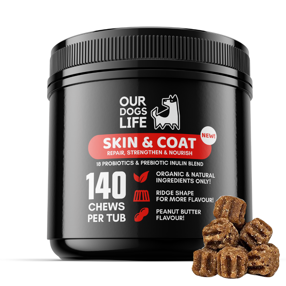 Our Dogs Life Skin & Coat 140 Chews