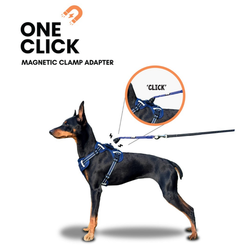 Our Dogs Life Magnetic Lock Lead & Harness Set: Black