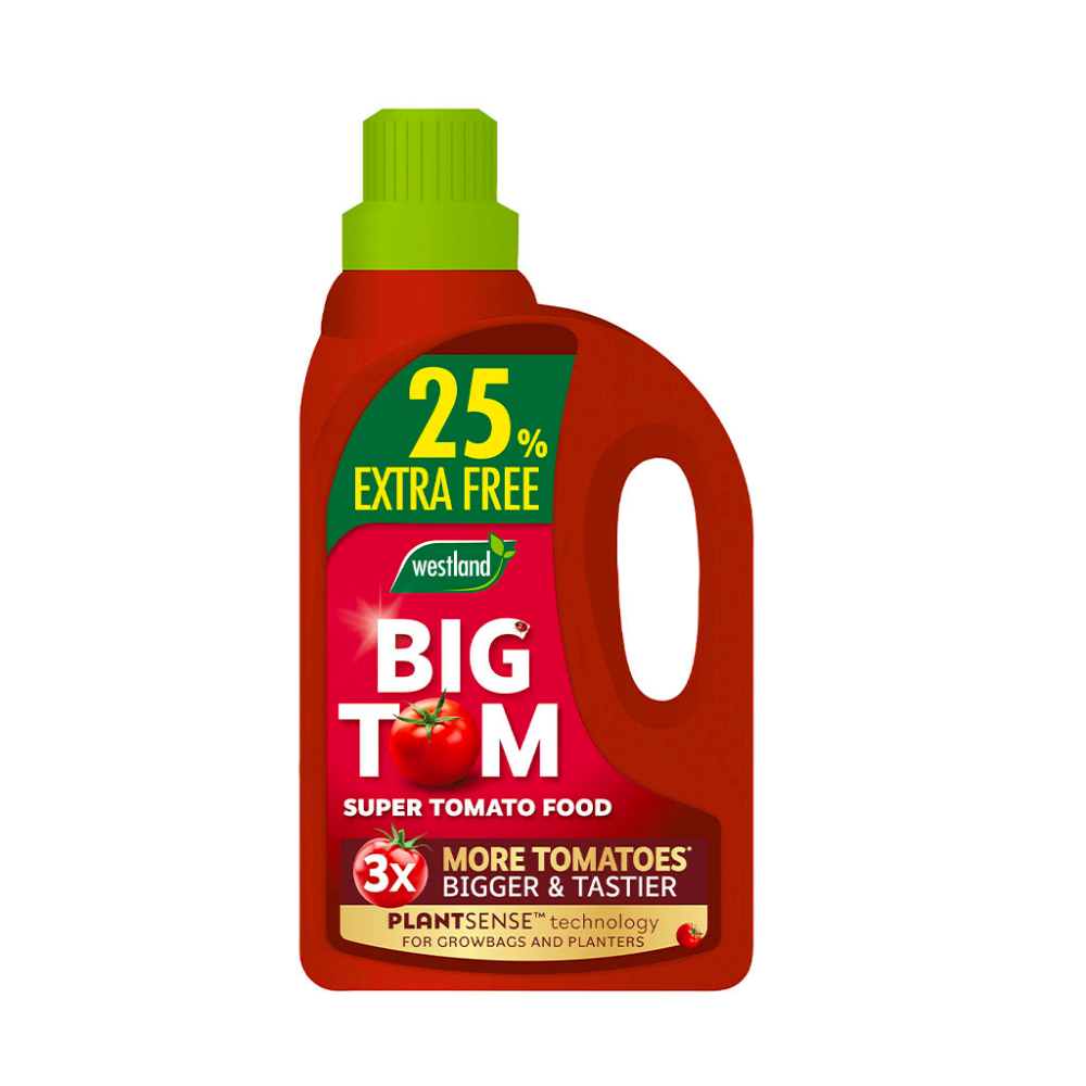 Westland Big Tom Tomato Food 1L + 25% Extra Free