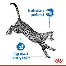 Load image into Gallery viewer, Royal Canin Indoor Sterilised in Gravy 12 x 85g
