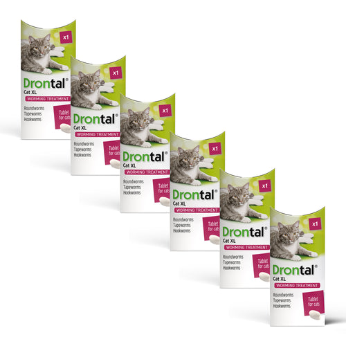 Drontal Wormer Tablets, Convenient for Large Cats (Over 4kg) 6 Tablets
