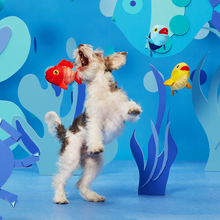 Load image into Gallery viewer, Bark The Groupers Dog Toy
