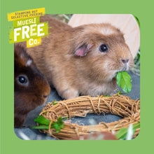 Load image into Gallery viewer, Burgess Excel Adult Guinea Pig Nuggets With Mint
