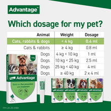 Load image into Gallery viewer, Advantage Spot On Flea Treatment (4 Pack) for Cats, Dogs &amp; Rabbits
