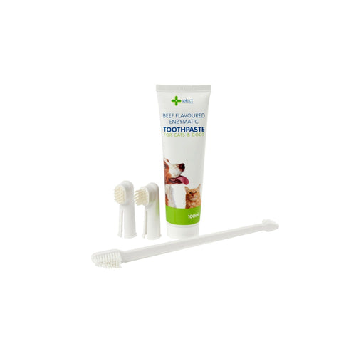 Select Dental Care Toothbrush & Toothpaste Set For Cats & Dogs 