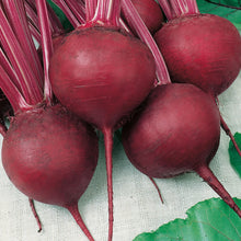 Load image into Gallery viewer, Beetroot Cardeal F1

