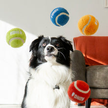 Load image into Gallery viewer, KONG Sport Softies Balls 3pk Assorted Medium
