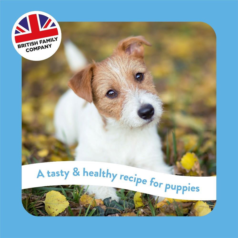 Burgess Supadog Puppy Chicken Complete Dried Dog Food Direct4Pet