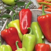 Load image into Gallery viewer, Pepper (Sweet) Slavus
