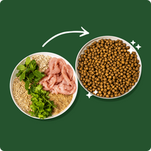 Load image into Gallery viewer, Green Pantry Dental Health Support Natural Dog Food Turkey with Mint and Parsley
