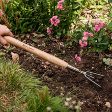 Load image into Gallery viewer, Kent &amp; Stowe Stainless Steel Border 3 Prong Cultivator
