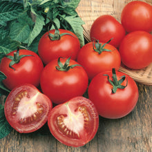 Load image into Gallery viewer, Tomato (Salad) Alicante
