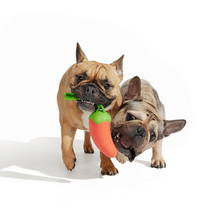 Load image into Gallery viewer, Bark Habanero Pupper Dog Toy
