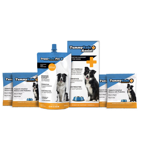 TummyRade Assist Digestive Support Kit For Dogs 500ml Drink + 4 x 50g Satchet	