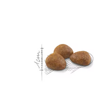 Load image into Gallery viewer, Royal Canin Cat Food Outdoor  7+
