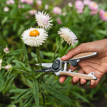 Load image into Gallery viewer, Kent &amp; Stowe Garden Life Flower Snips
