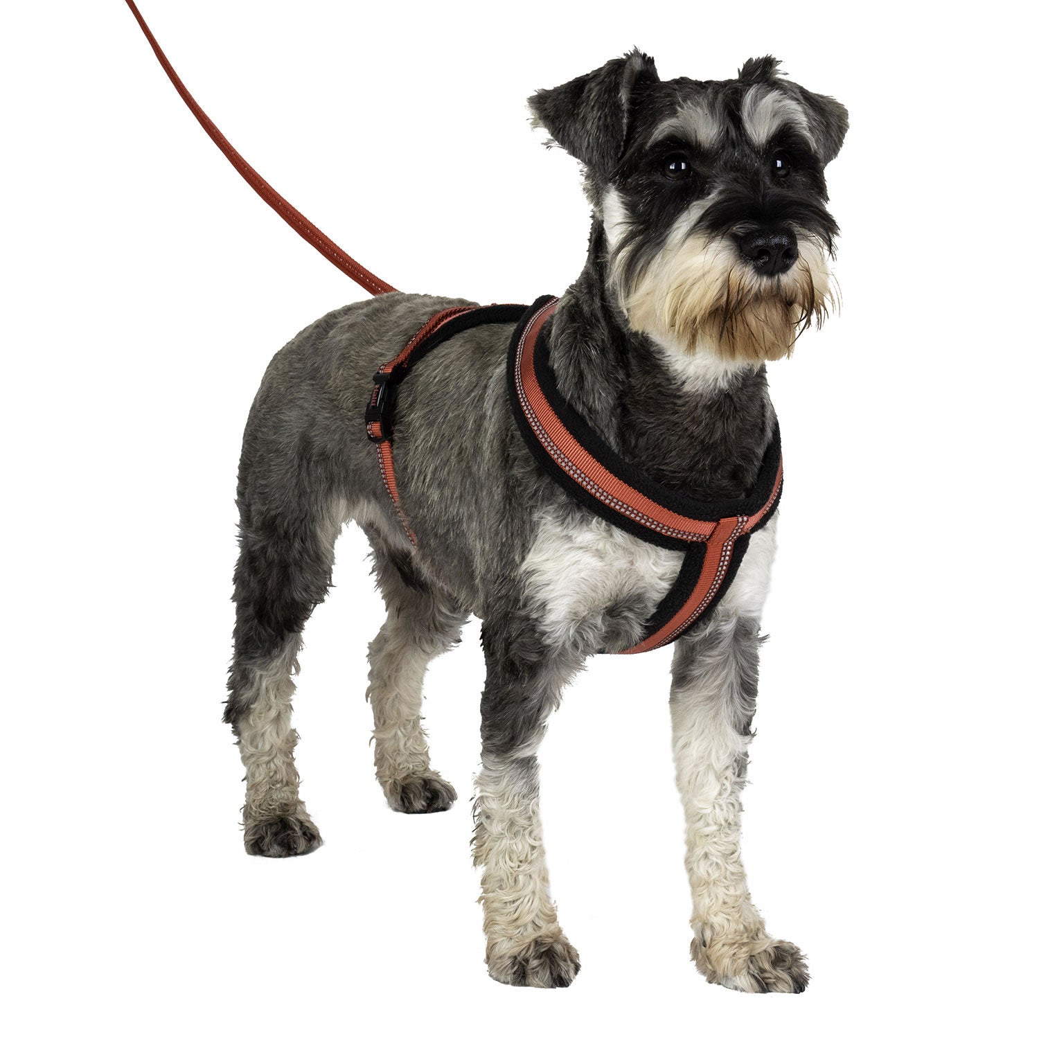 HALTI Comfy Dog Harness Red