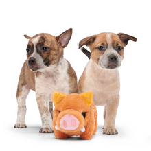 Load image into Gallery viewer, Bark Beau The Boar Dog Toy
