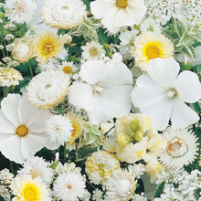 Load image into Gallery viewer, Unwins Sea of White Mixed Annuals
