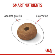 Load image into Gallery viewer, Royal Canin CCN Maxi Light Weight Care Dog Food 12kg
