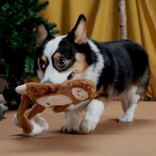Load image into Gallery viewer, Bark Hairy Henderson Dog Toy
