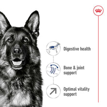 Load image into Gallery viewer, Royal Canin  Maxi Adult 5+ Dry Dog Food - All Sizes
