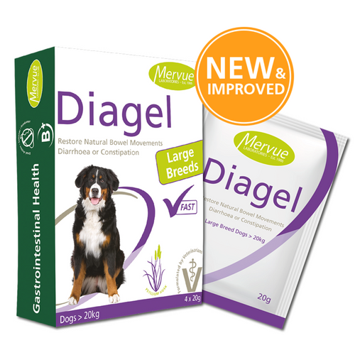 Mervue Diagel Digestive Support For Large Dogs