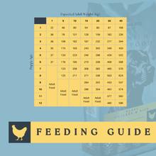 Load image into Gallery viewer, Copdock Mill Premium Puppy Food Chicken &amp; Rice 12kg
