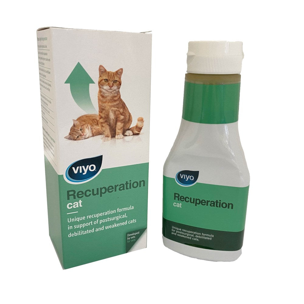 Viyo Recuperation Cat - 150ml 1 unit
