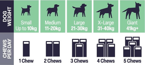 Load image into Gallery viewer, Natural VetCare Health &amp; Wellbeing Chews for Dogs – Age Well, Calm &amp; Settle, Daily Multivitamin, Gut Balance &amp; Mobility – Vet-Formulated Chews
