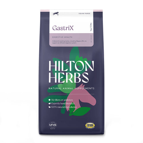 Hilton Herbs Gastri X 1 Kg